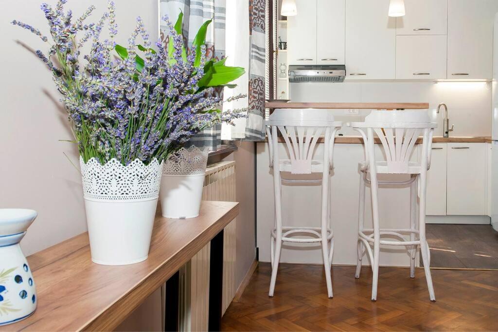 Apartment Pataky Zagreb Bagian luar foto